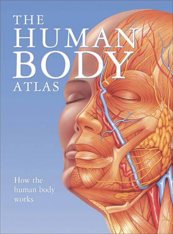 Human Body Atlas