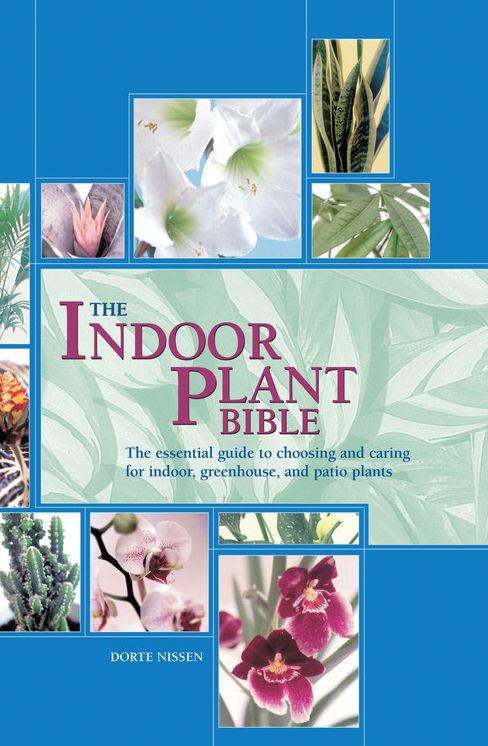 The Indoor Plant Bible