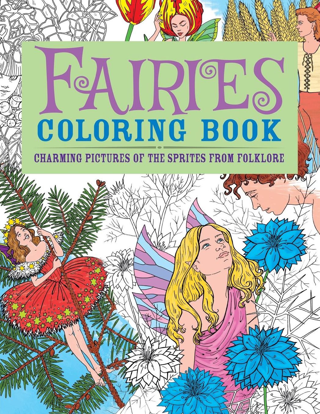 Fairies Coloring Book