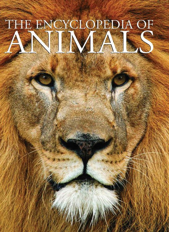 Encyclopedia of Animals