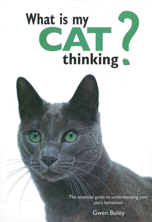 What Is My Cat Thinking?: The Essential Guide to Understanding Your Pet's Behavior