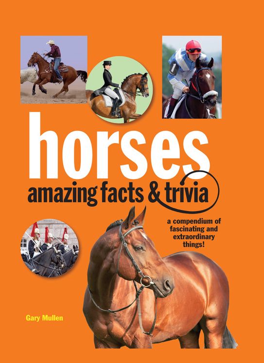 Horses: Amazing Facts and Trivia