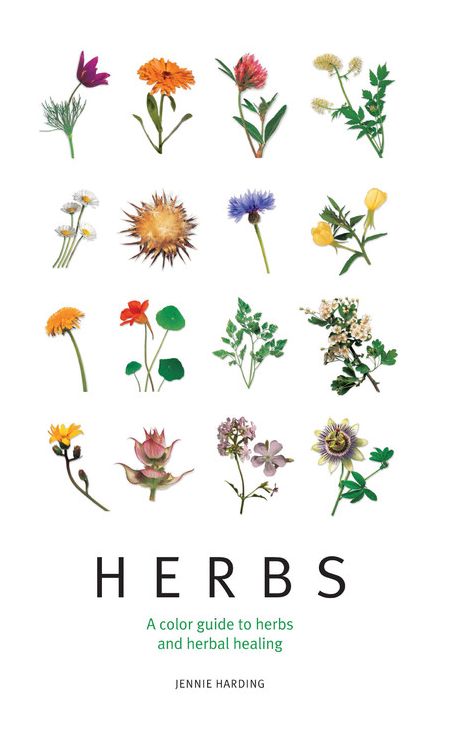 Herbs: A Color Guide to Herbs and Herbal Healing