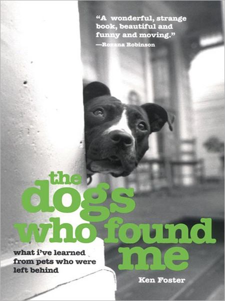 The Dogs Who Found Me: What I've Learned from Pets Who Were Left Behind