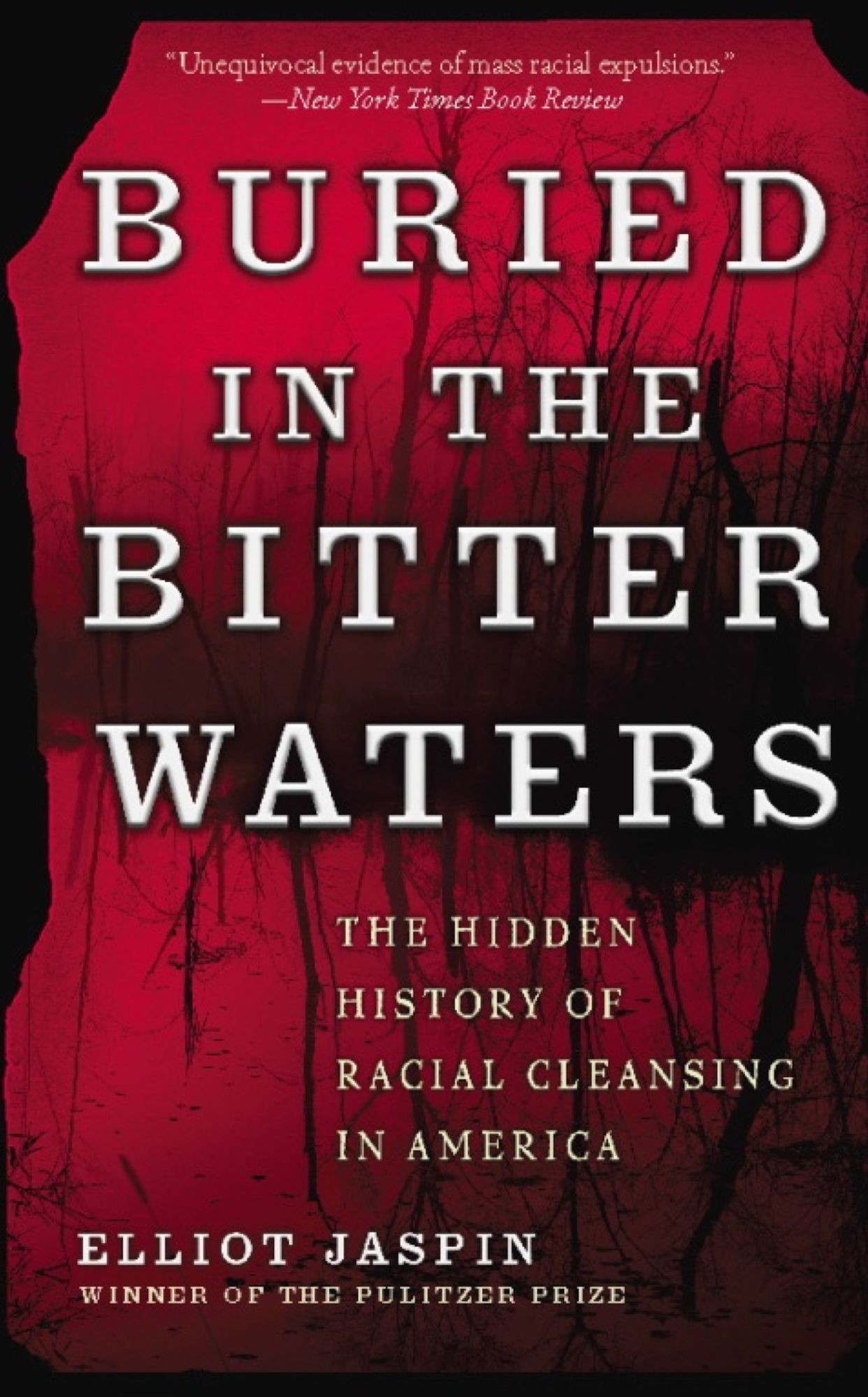 Buried in the Bitter Waters: The Hidden History of Racial Cleansing in America