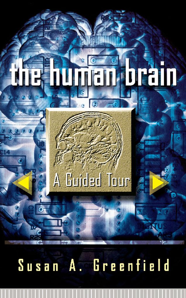 The Human Brain: A Guided Tour