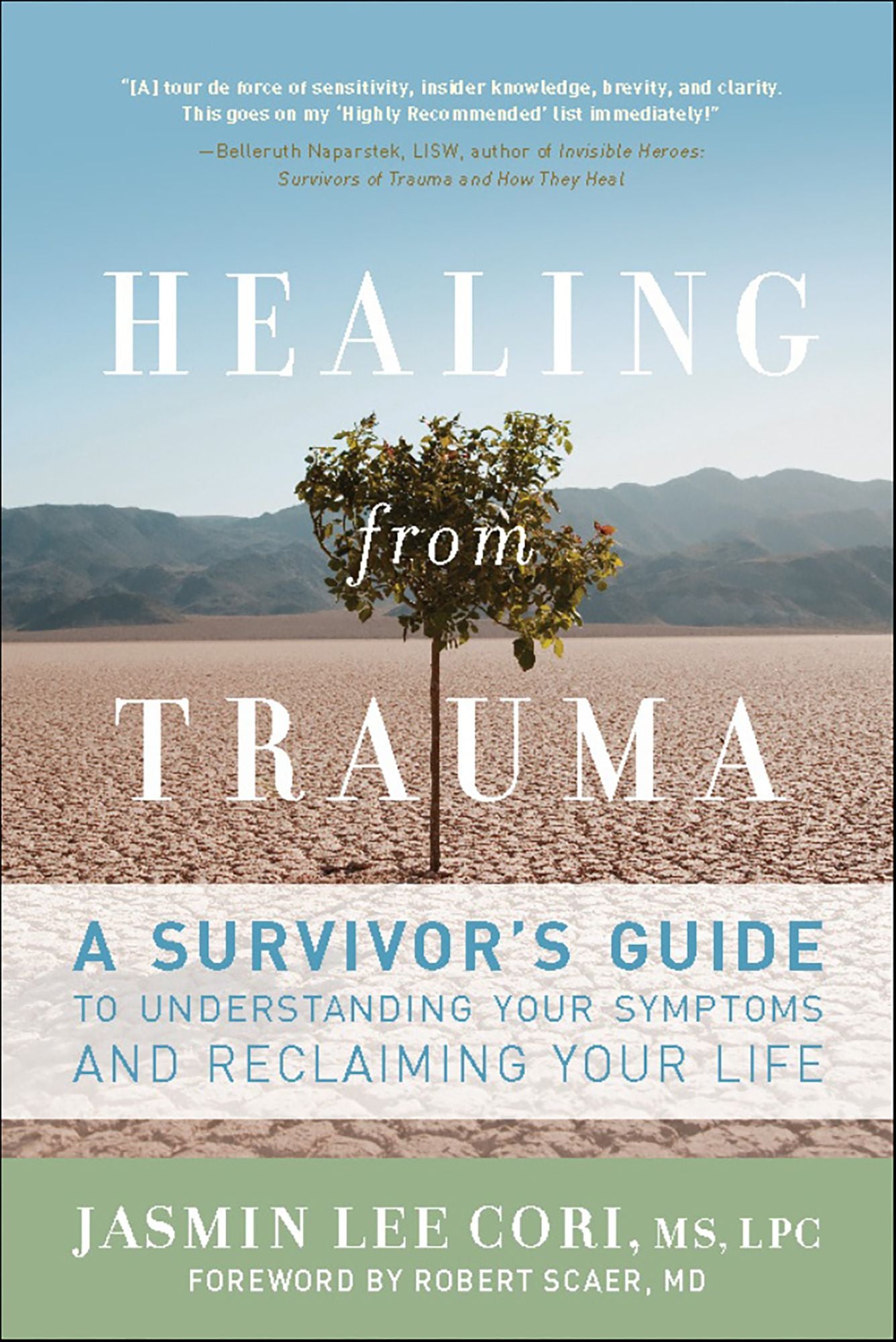 Healing from Trauma: A Survivor's Guide to Understanding Your Symptoms and Reclaiming Your Life