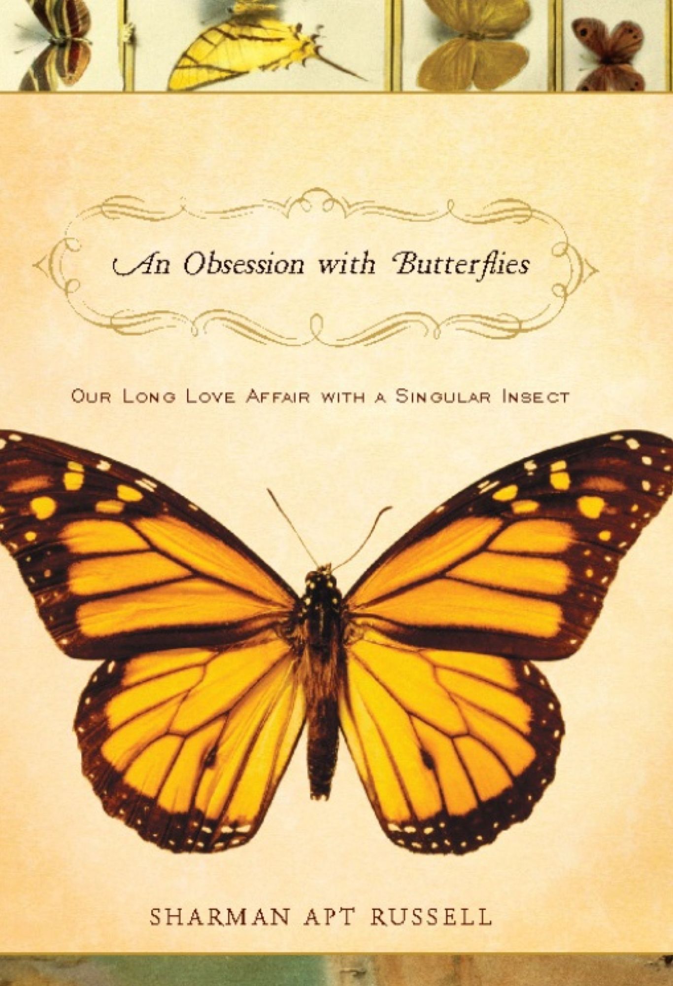An Obsession With Butterflies: Our Long Love Affair With A Singular Insect