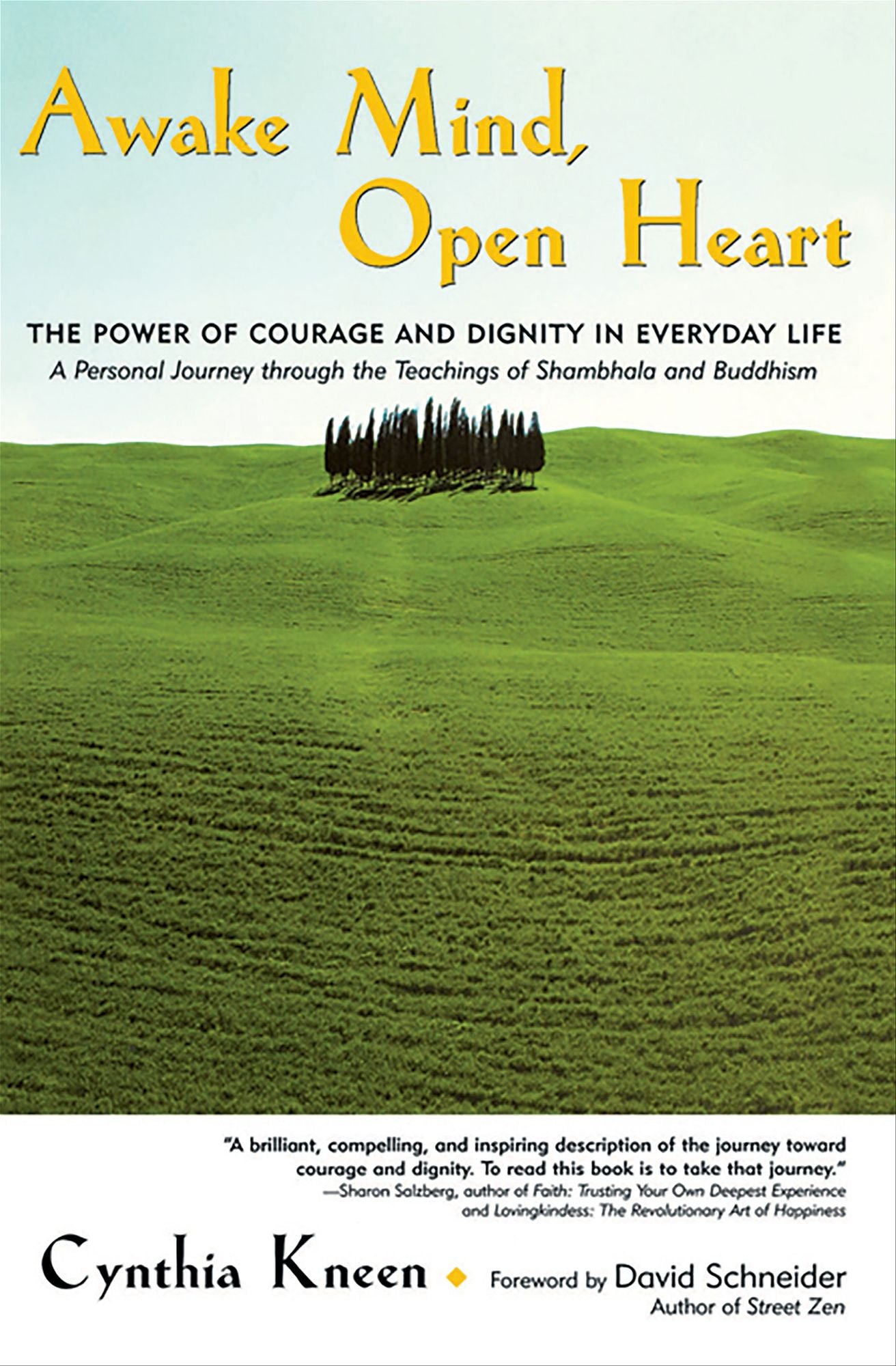 Awake Mind, Open Heart: The Power of Courage and Dignity in Everyday Life