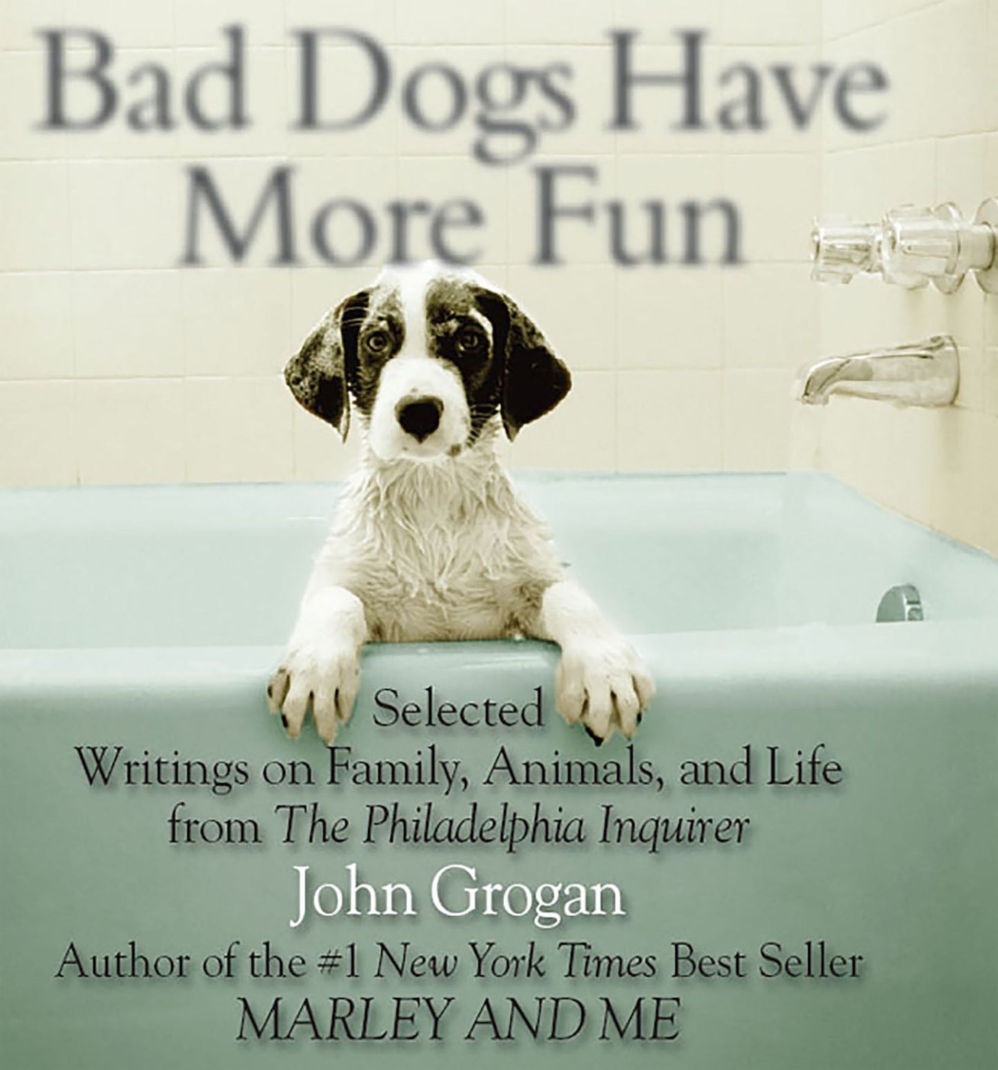 Bad Dogs Have More Fun: Selected Writings on Family, Animals, and Life from The Philadelphia Inquirer