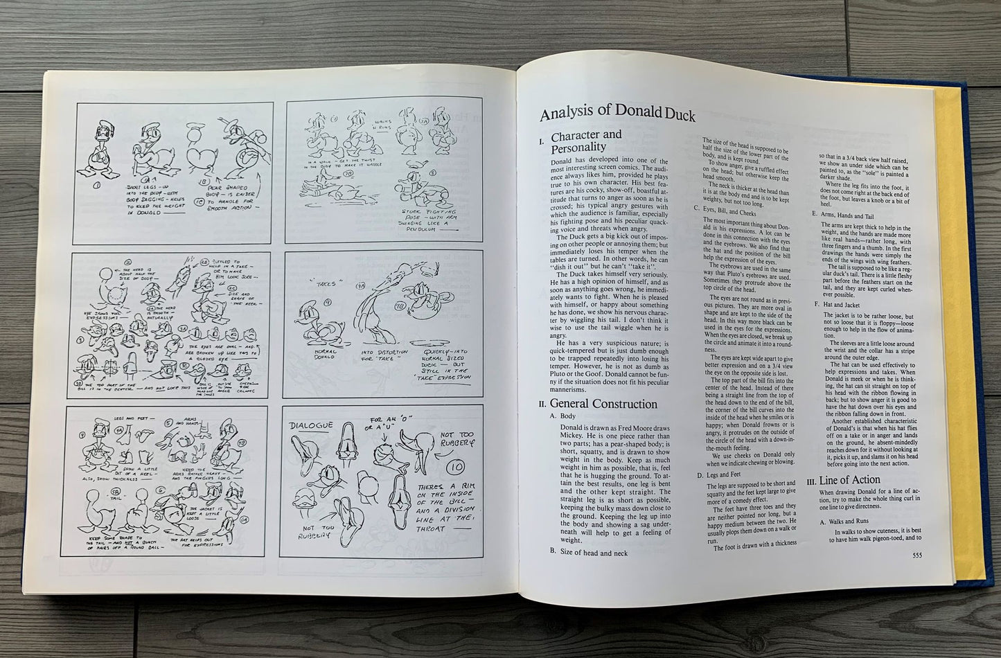 The Illusion of Life: Disney Animation