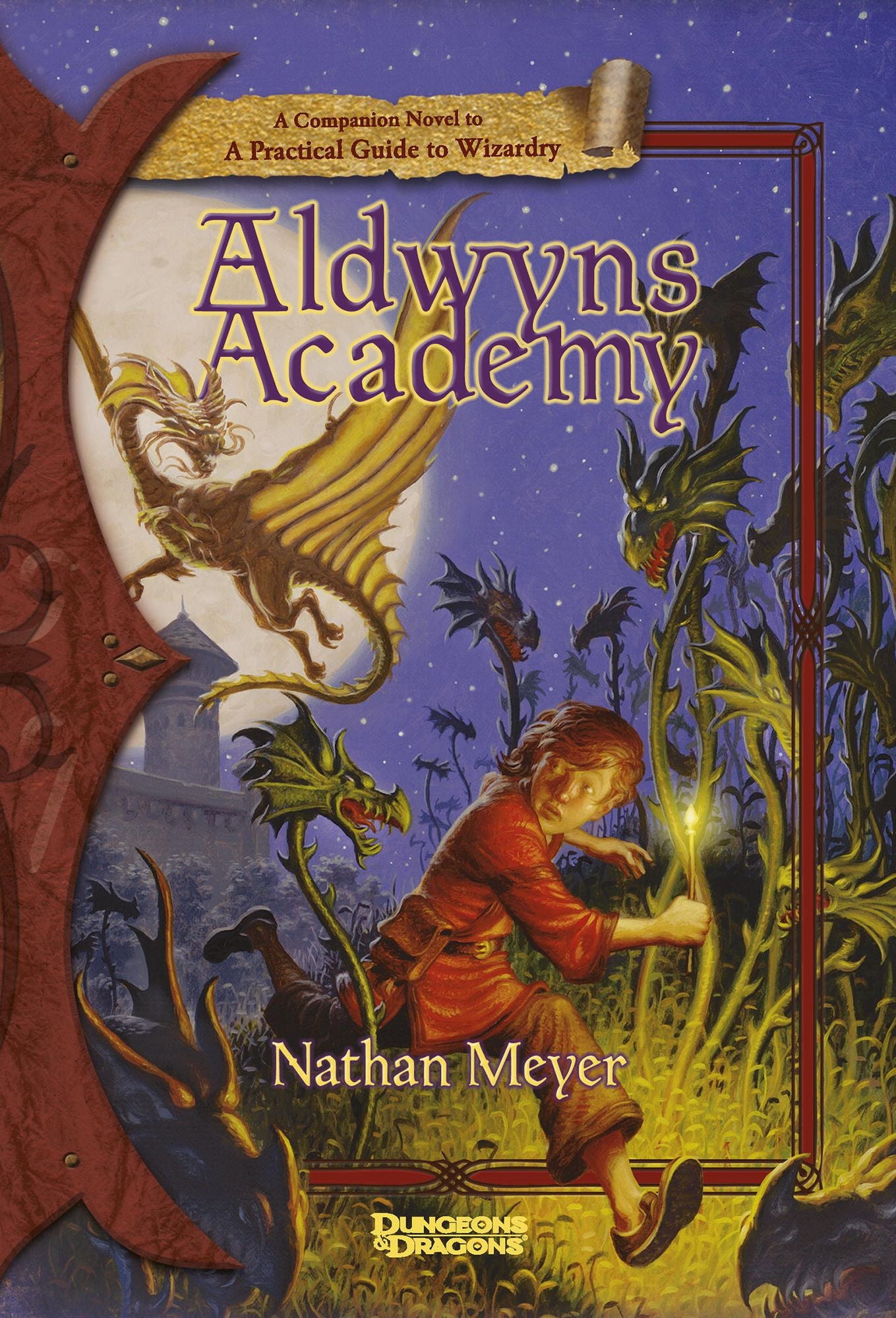 Aldwyn's Academy: A Companion Novel to A Practical Guide to Wizardry