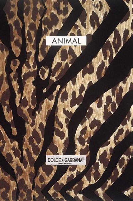 Animal: Dolce & Gabbana / Wildness