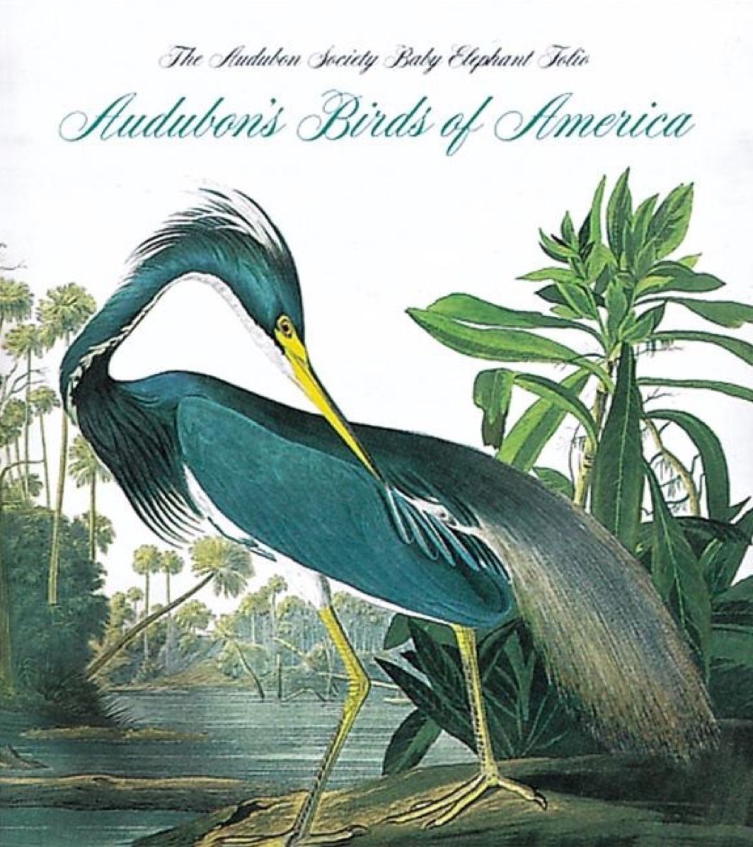 Audubon's Birds of America: The Audubon Society Baby Elephant Folio