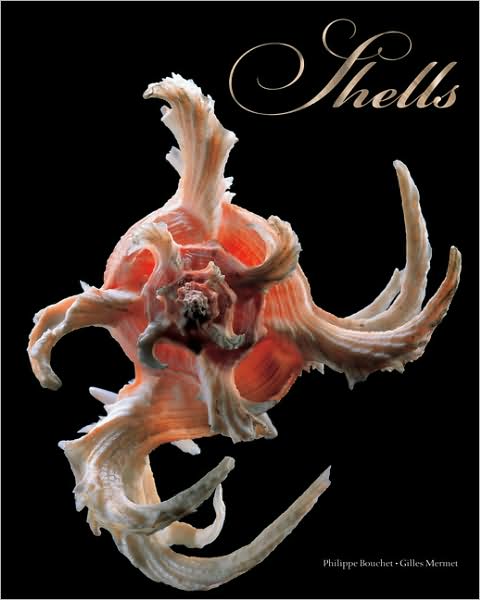 Shells