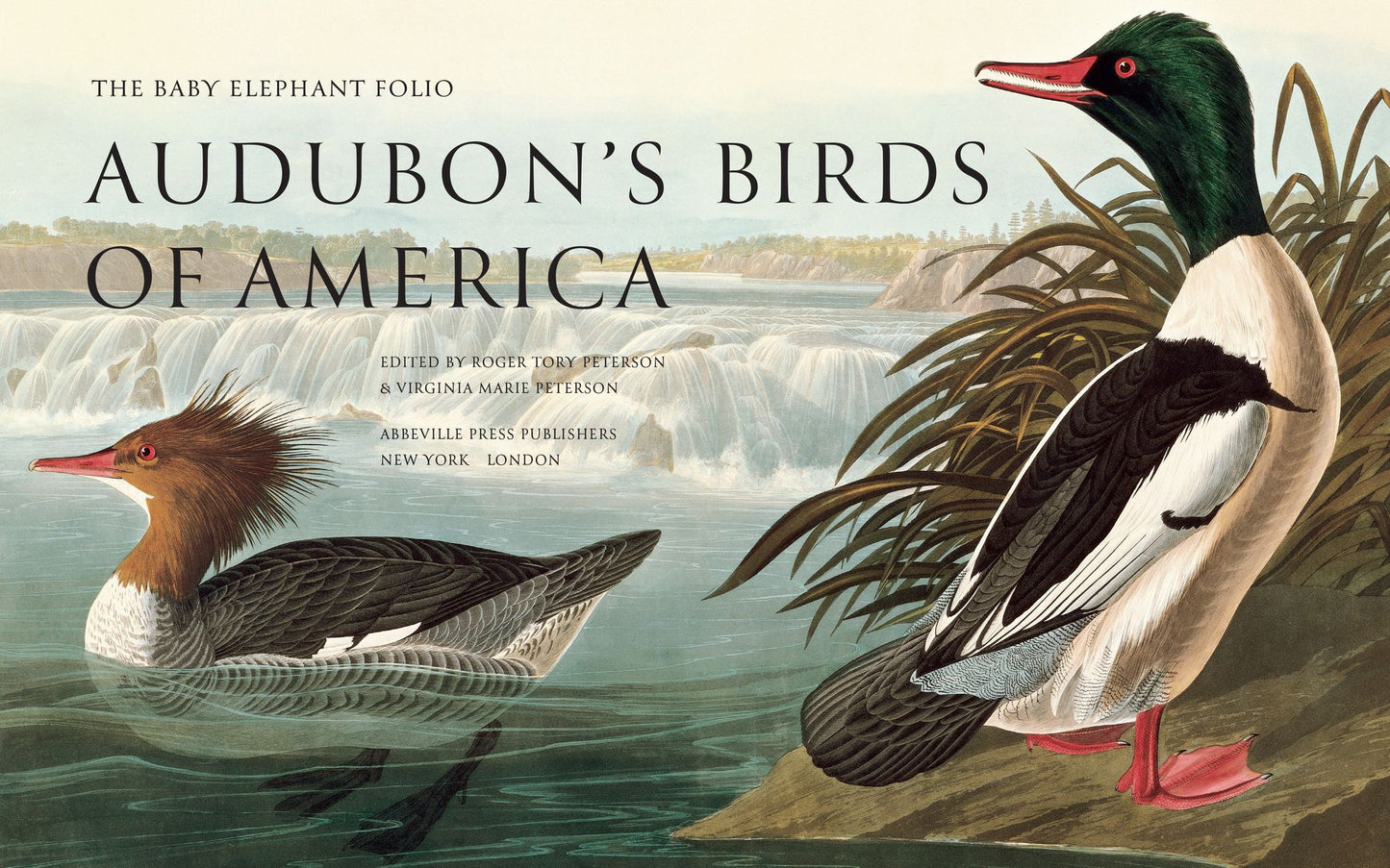 Audubon's Birds of America: Baby Elephant Folio