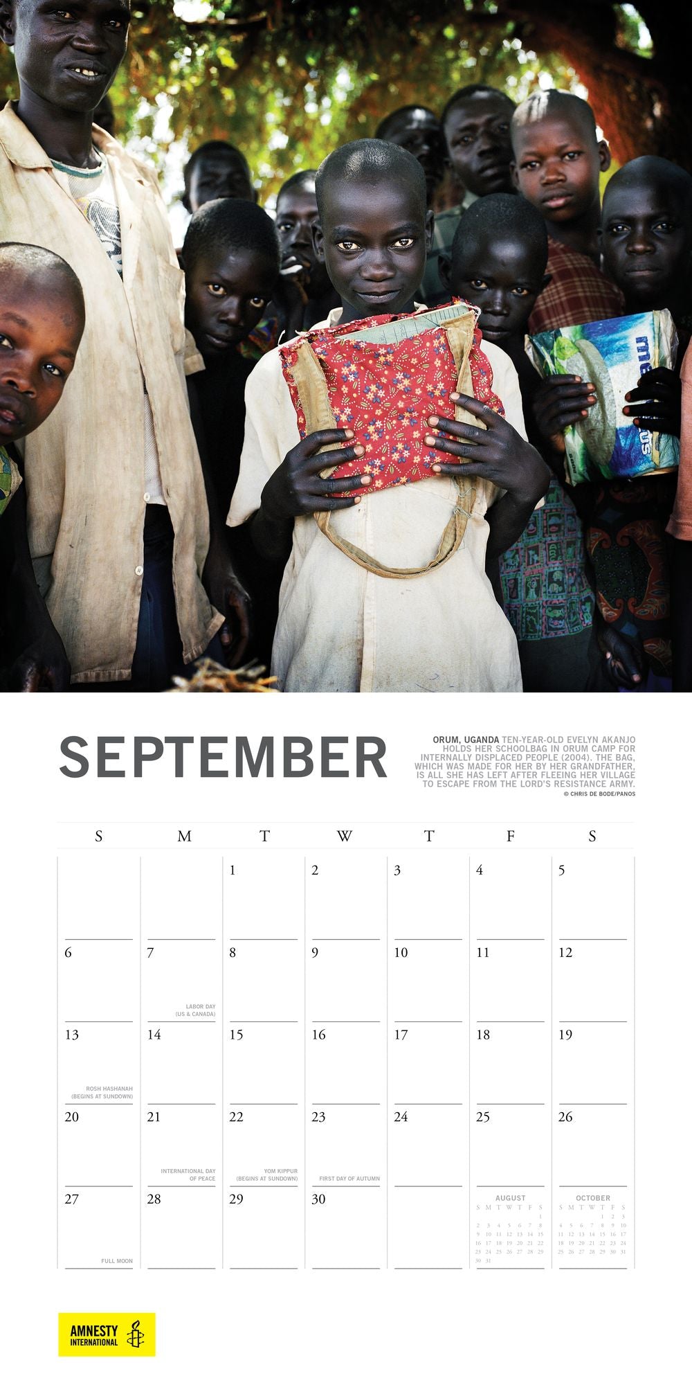 Amnesty International 2015 Wall Calendar