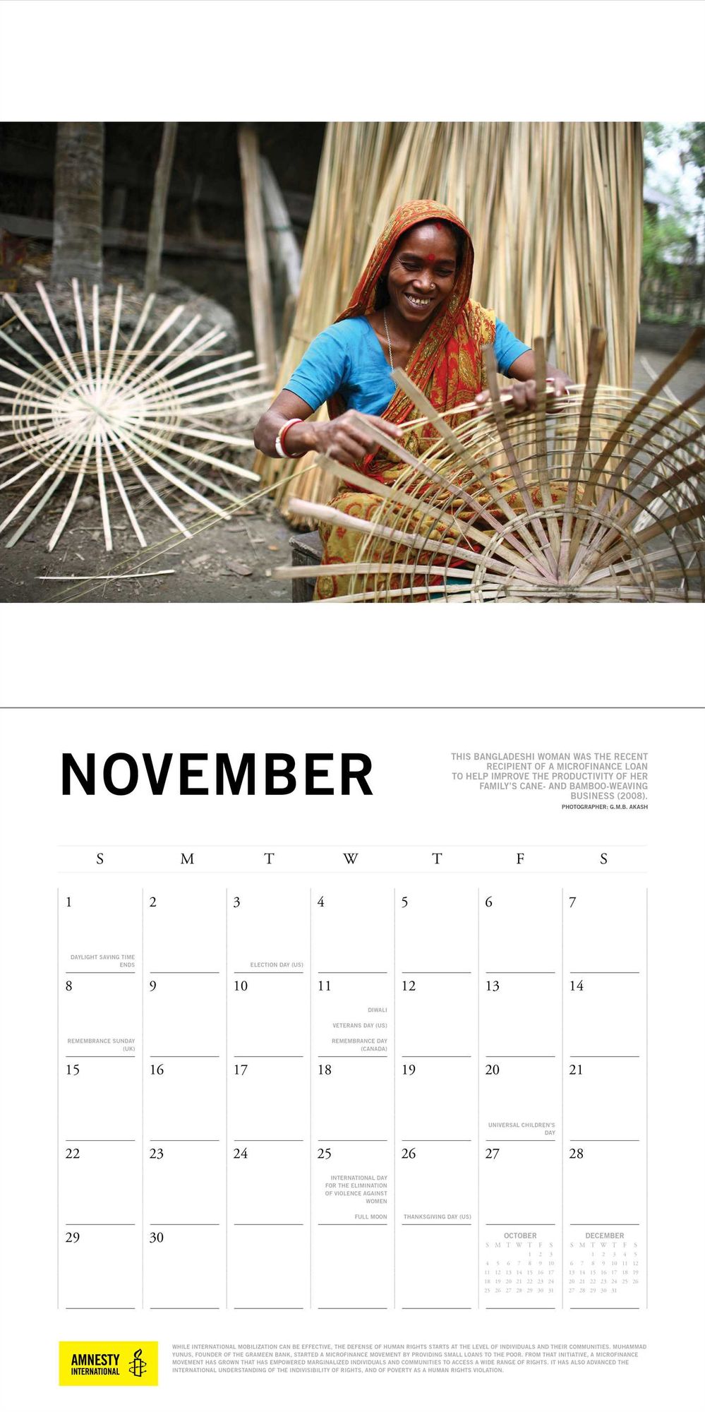 Amnesty International 2015 Wall Calendar