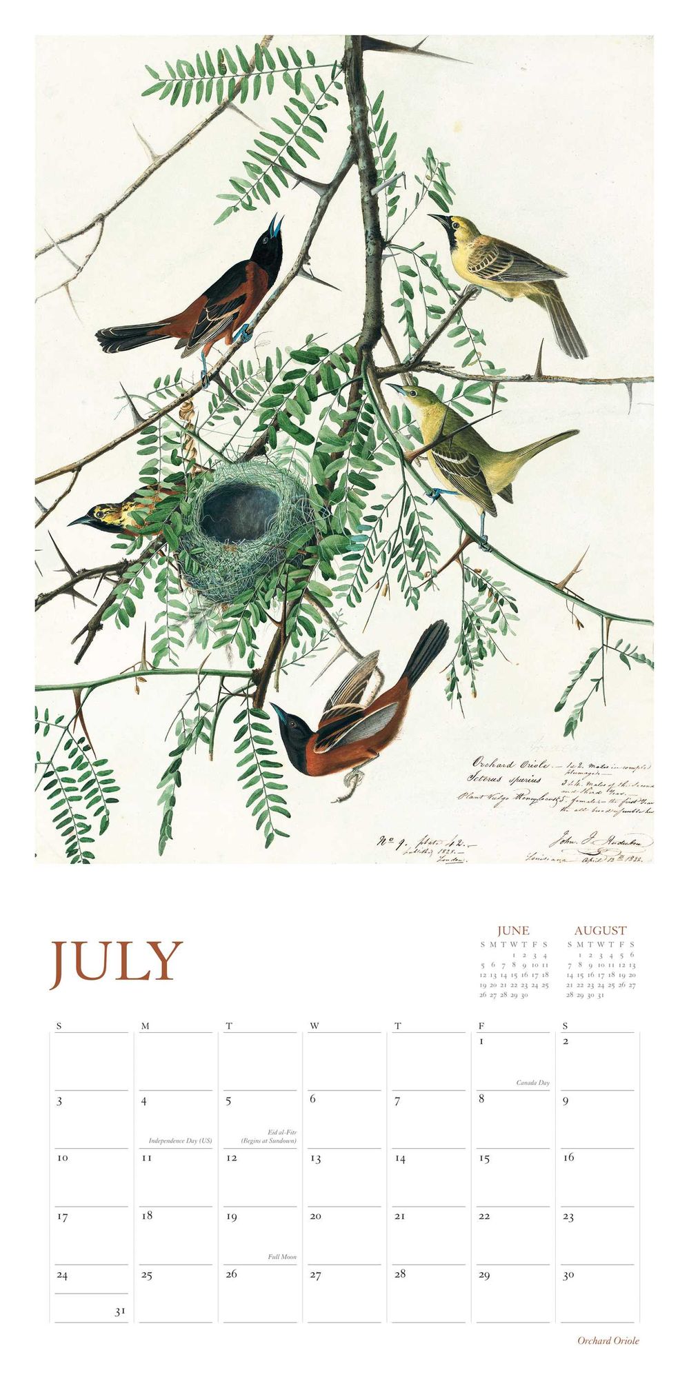 Audubon's Watercolors 2016 Wall Calendar: The Original Birds of America