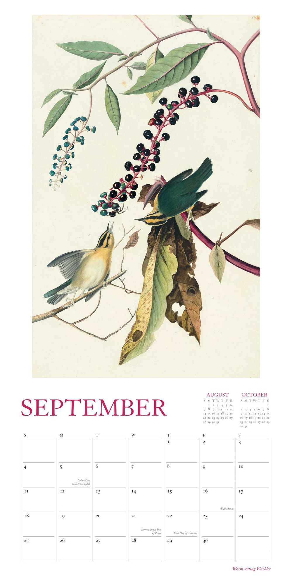 Audubon's Watercolors 2016 Wall Calendar: The Original Birds of America