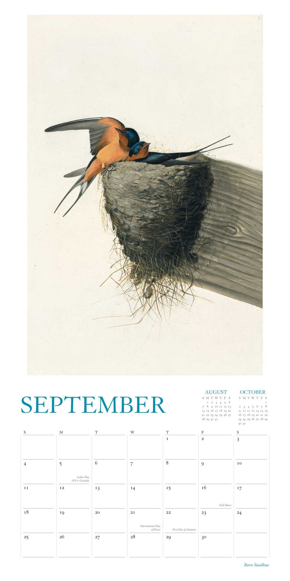 Audubon's Watercolors 2016 Wall Calendar: The Original Birds of America