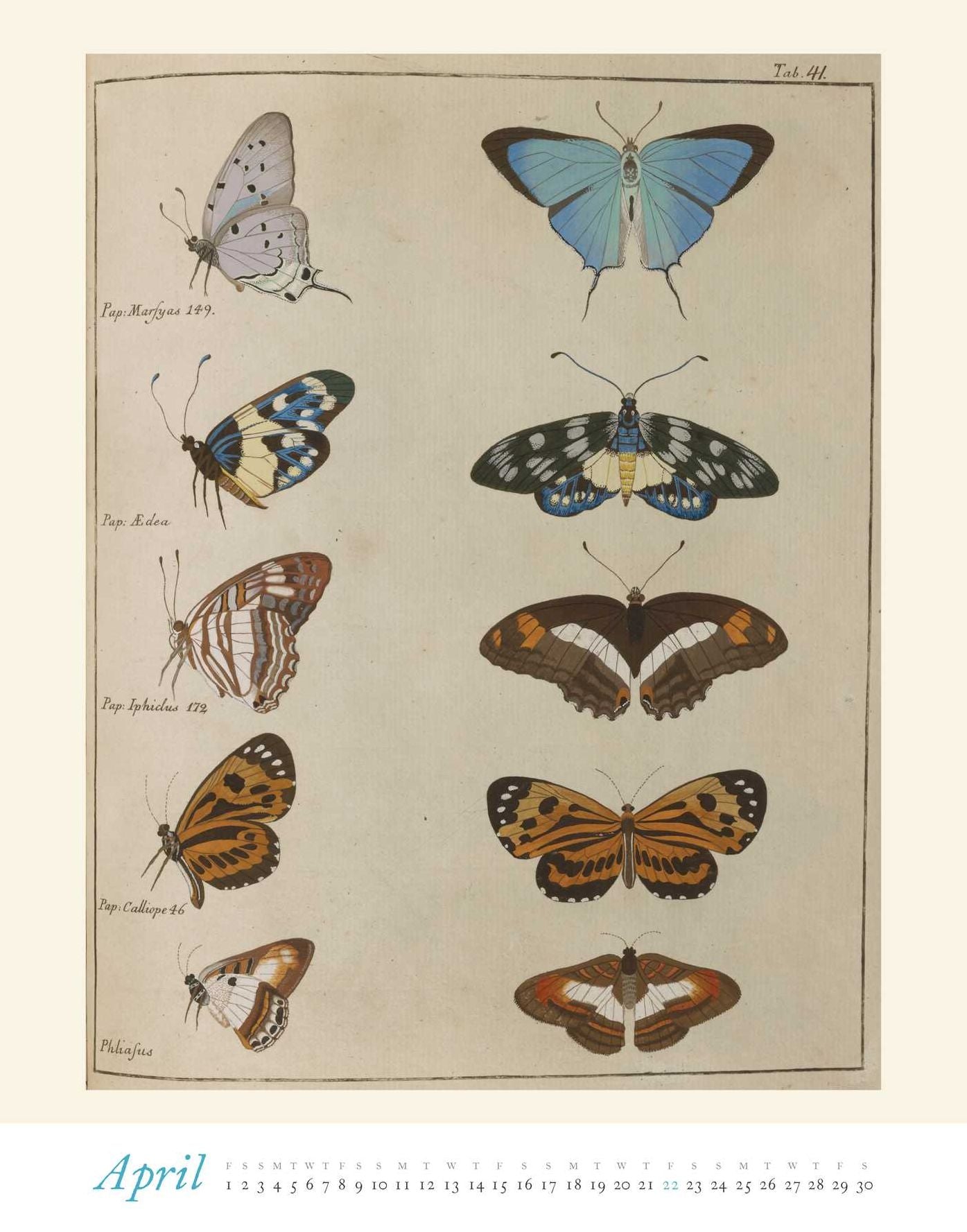 2016 Butterflies Boxed Posters Calendar