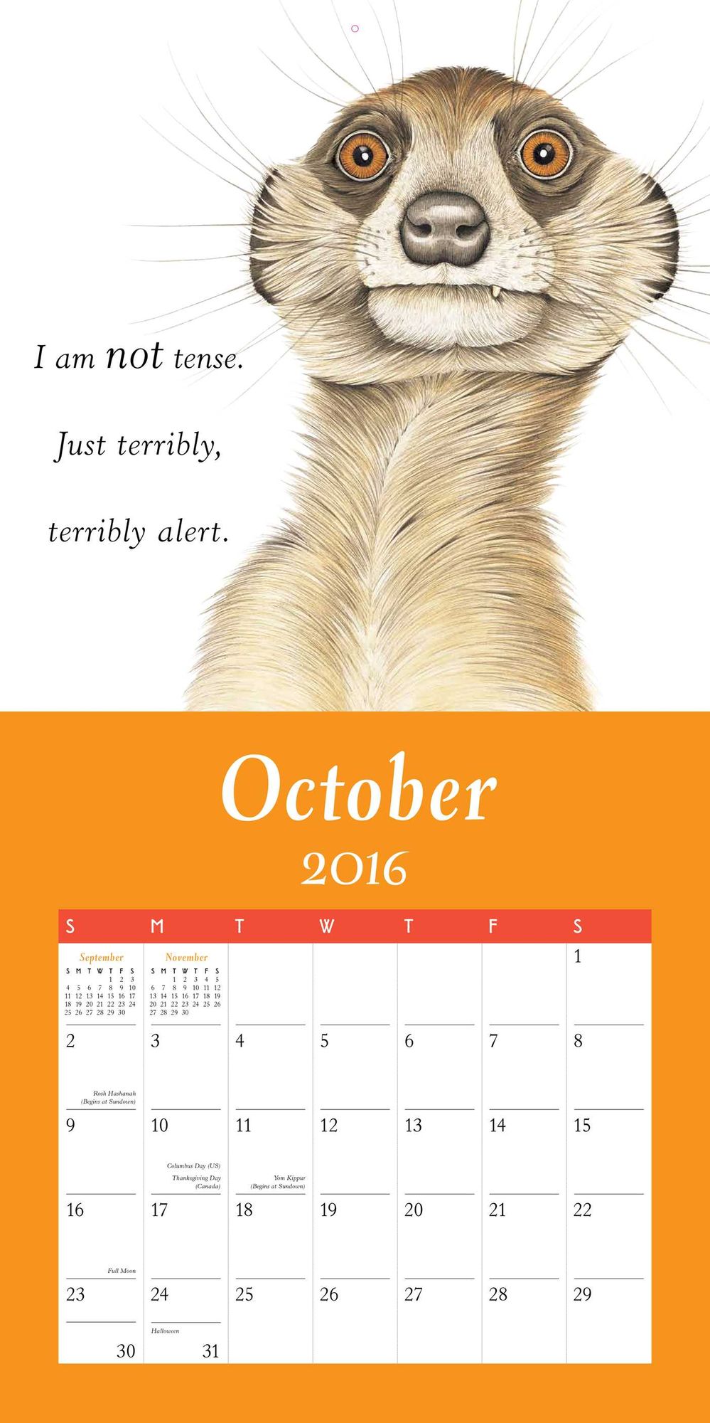 2016 Furry Logic Wall Calendar