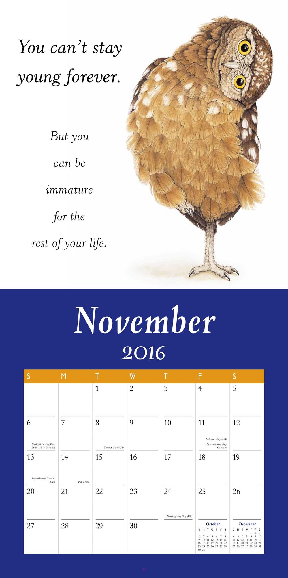 2016 Furry Logic Wall Calendar