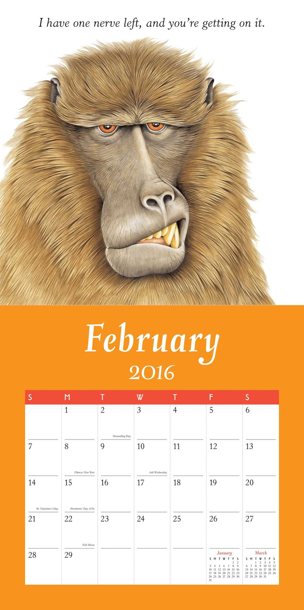 2016 Furry Logic Wall Calendar