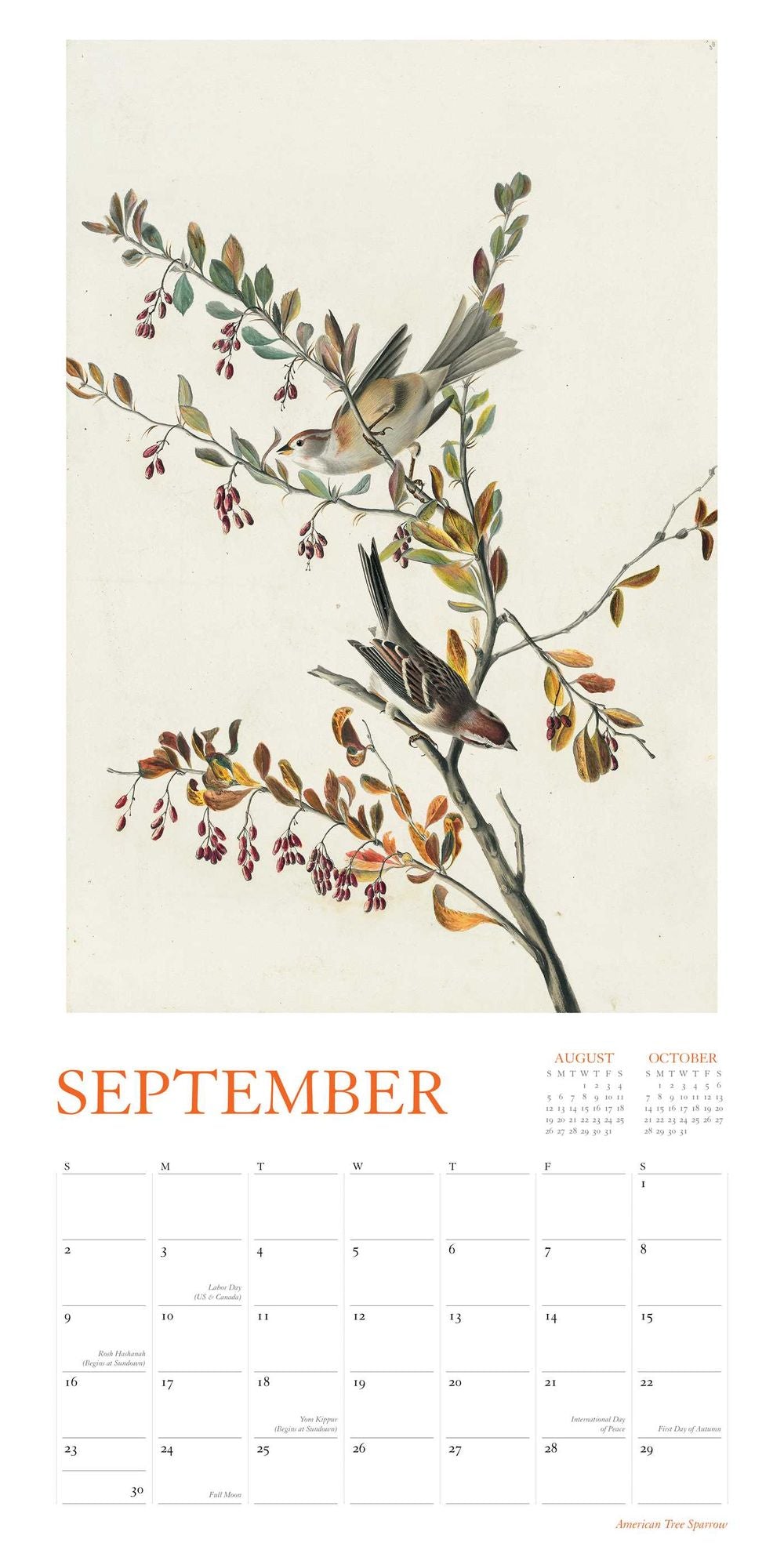 2018 Audubon's Watercolors Wall Calendar