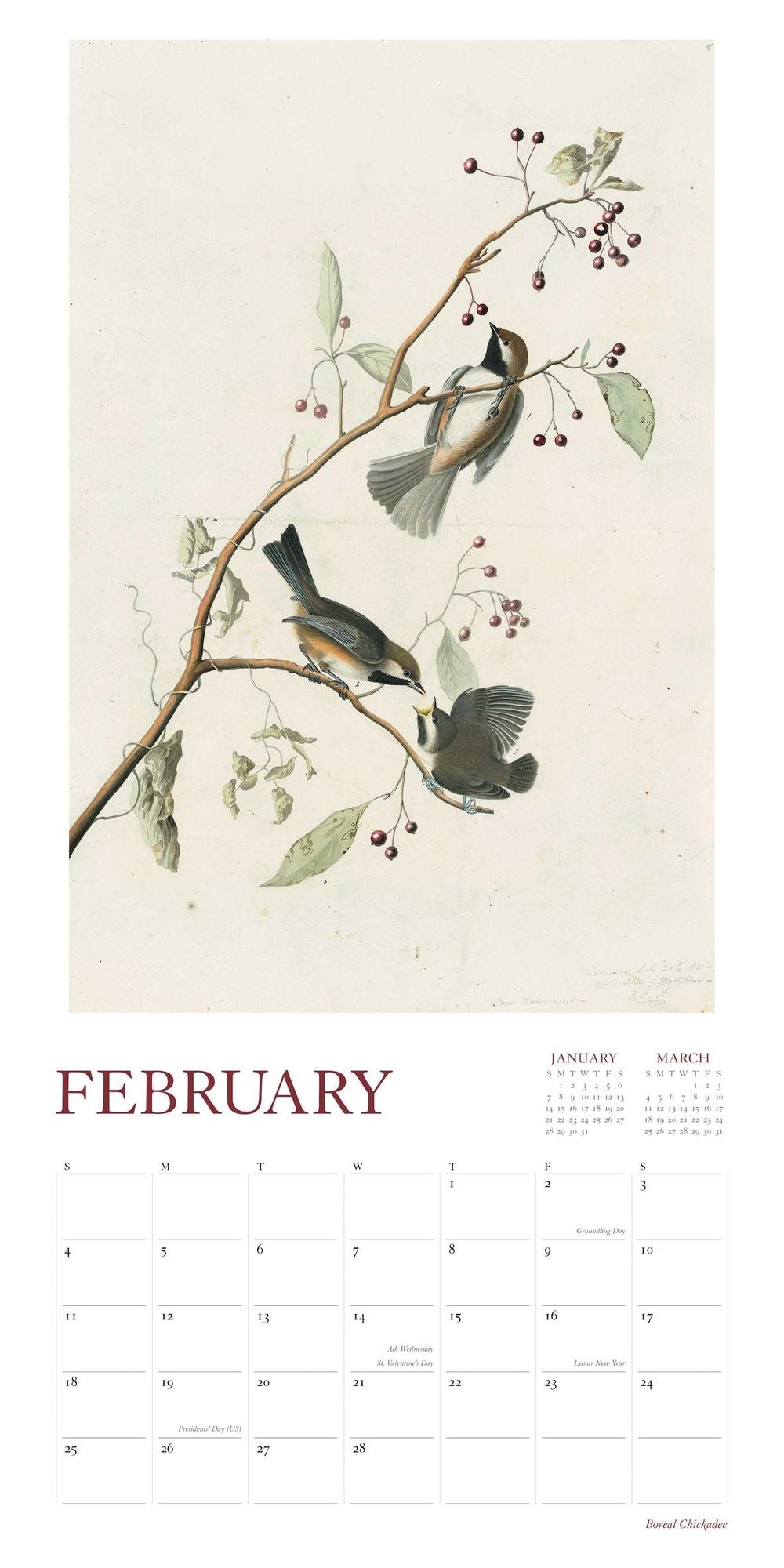 2018 Audubon's Watercolors Wall Calendar