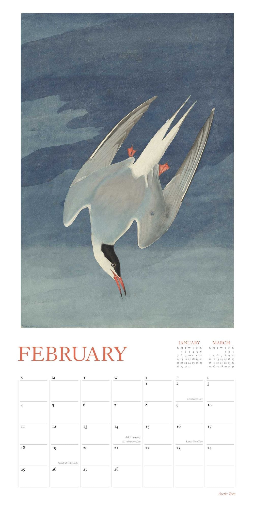 2018 Audubon's Watercolors Wall Calendar