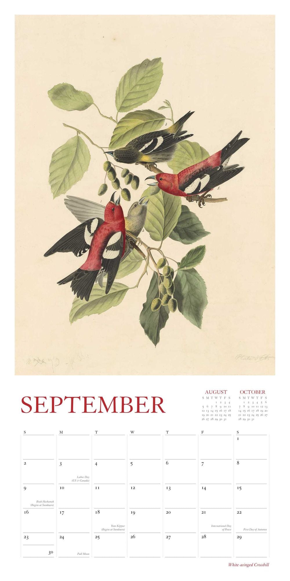2018 Audubon's Watercolors Wall Calendar
