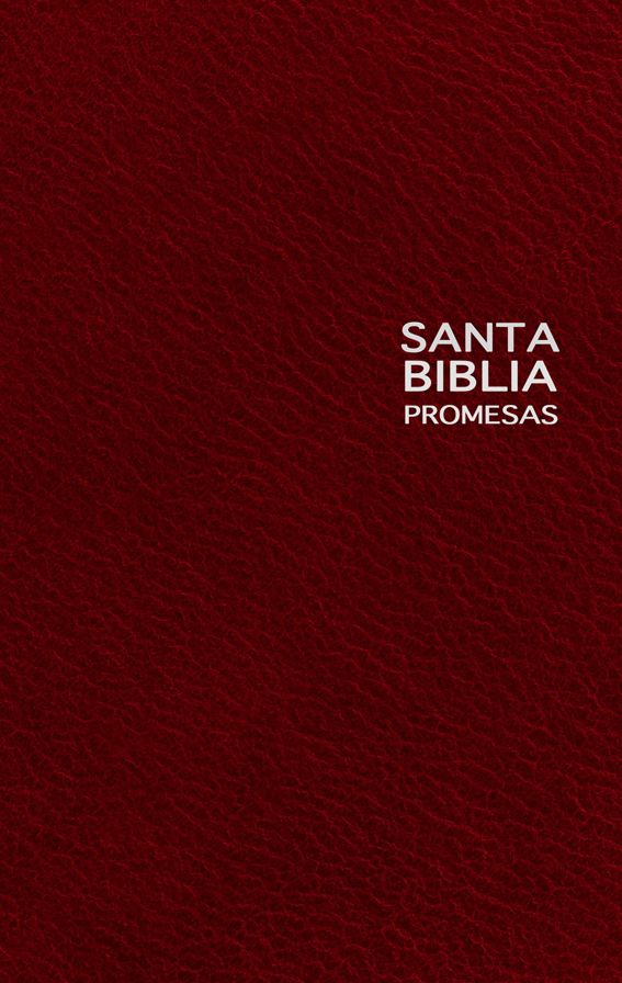 Biblia de promesas NTV Edicion premio y regalo
