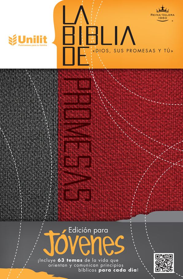 Santa Biblia de Promesas Reina Valera 1960 para hombres jóvenes, dos tonos, gris y rojo / Spanish Promise Bible RVR 1960 for Young Men, Two Tone, Gray and Red