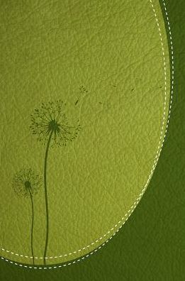 Santa Biblia de Promesas Reina-Valera 1960 «Inspira» / Letra gigante - 13 puntos / Piel Especial con Índice / Verde // Spanish Promise Bible RVR60 "Inspire" / Giant Print - 13 points / Leathersoft with Index / Green