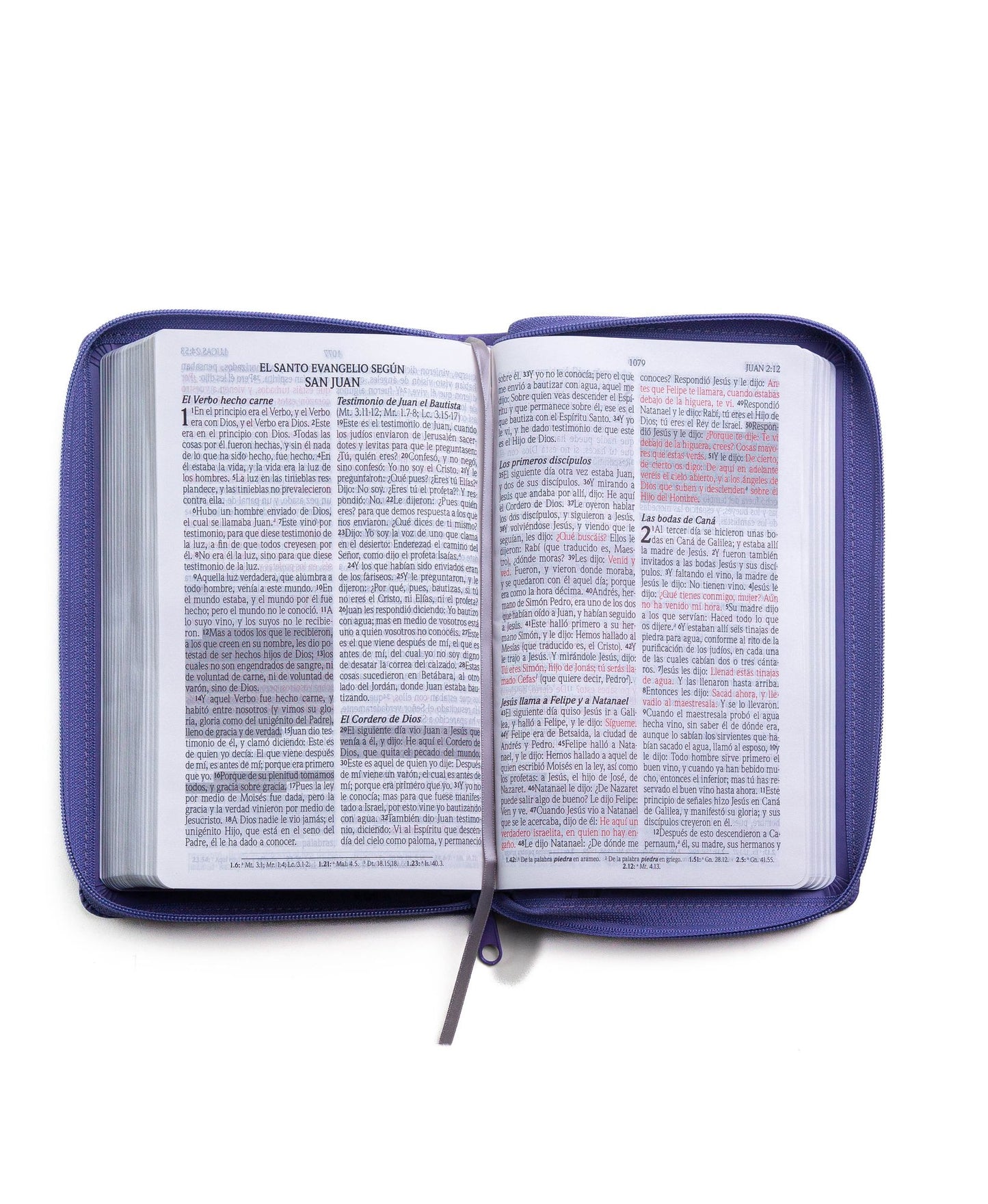 Santa Biblia de Promesas Reina-Valera 1960 / Tamaño Manual / Letra Grande / Piel Especial con Cierre / Lavanda // Spanish Promise Bible RVR60 / Handy Size / Large Print / Leathersoft / Lavander