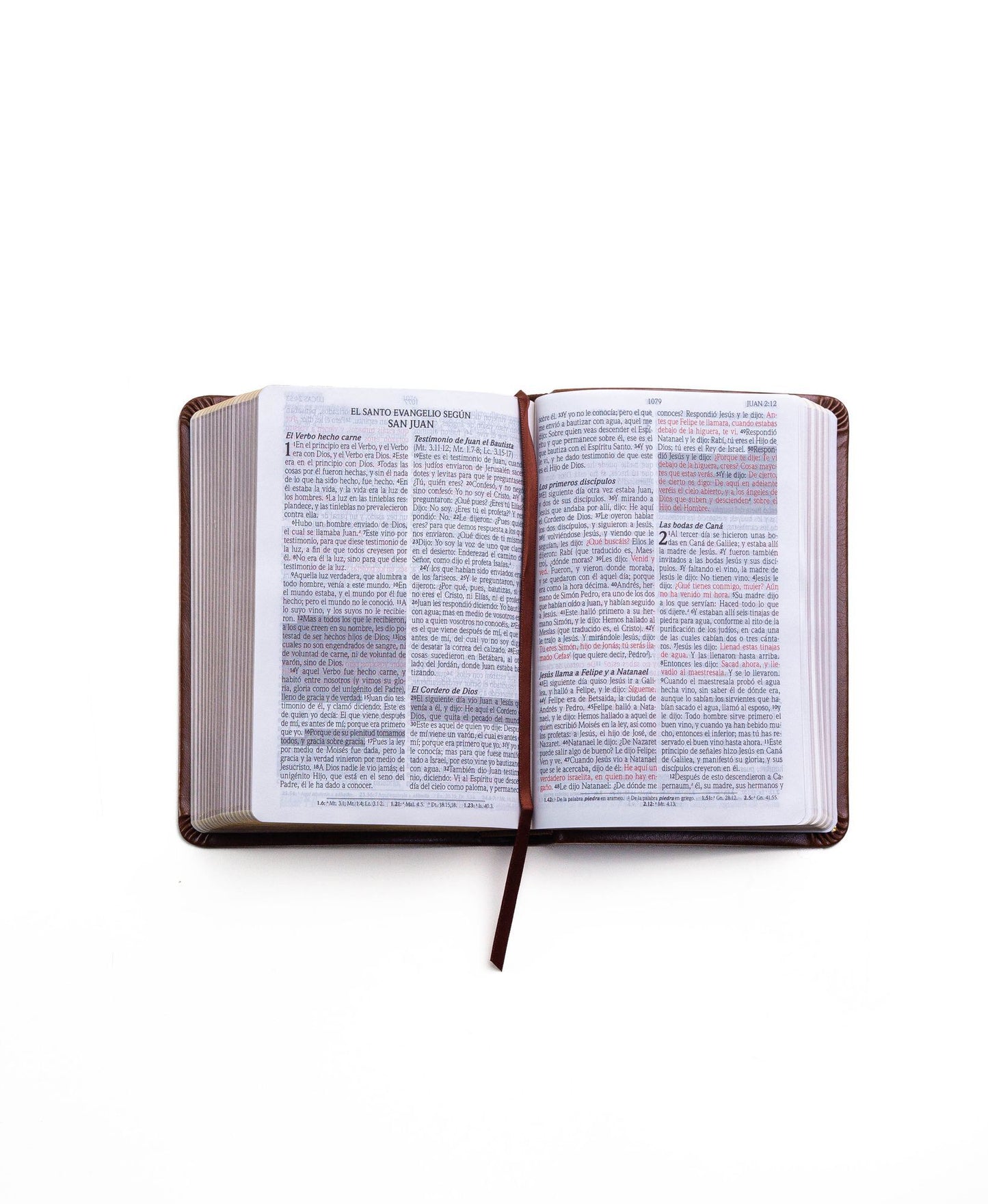 Santa Biblia de Promesas Reina-Valera 1960 / Compacta / Letra Grande / Piel Especial / Café // Spanish Promise Bible RVR 1960 / Compact / Large Print / Leathersoft / Brown