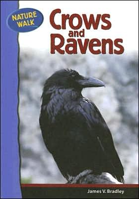 Crows and Ravens