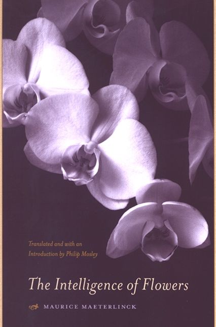 The Intelligence of Flowers