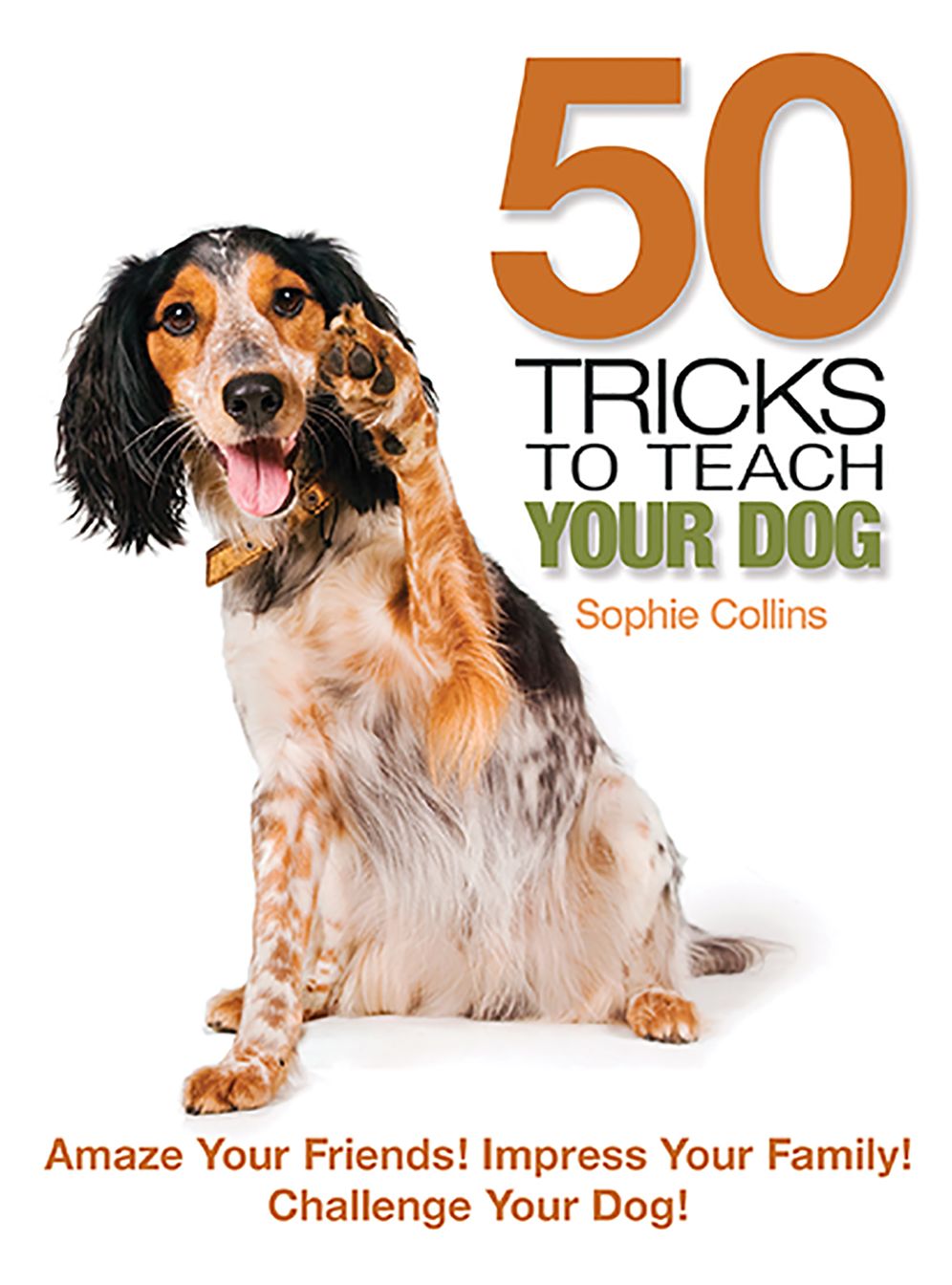 50 Tricks to Teach Your Dog: Amaze Your Friends! Impress Your Family! Challenge Your Dog!