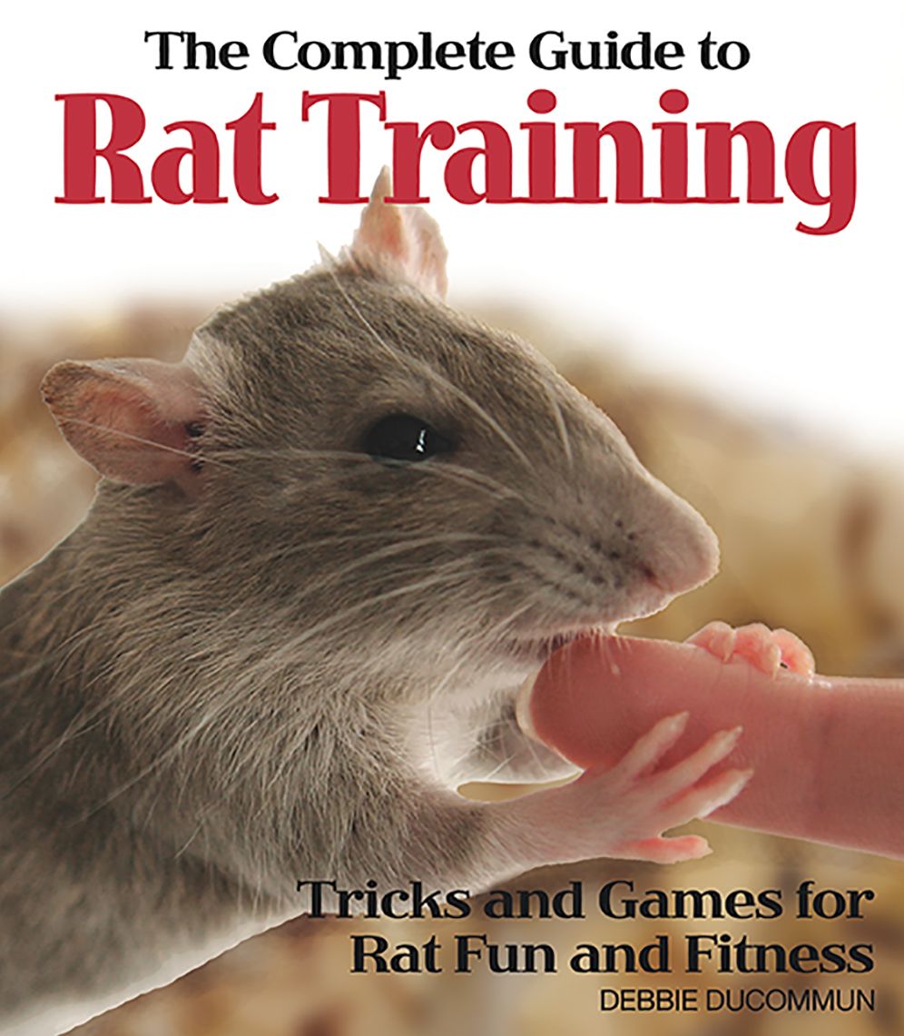 Complete Guide to Rat Training