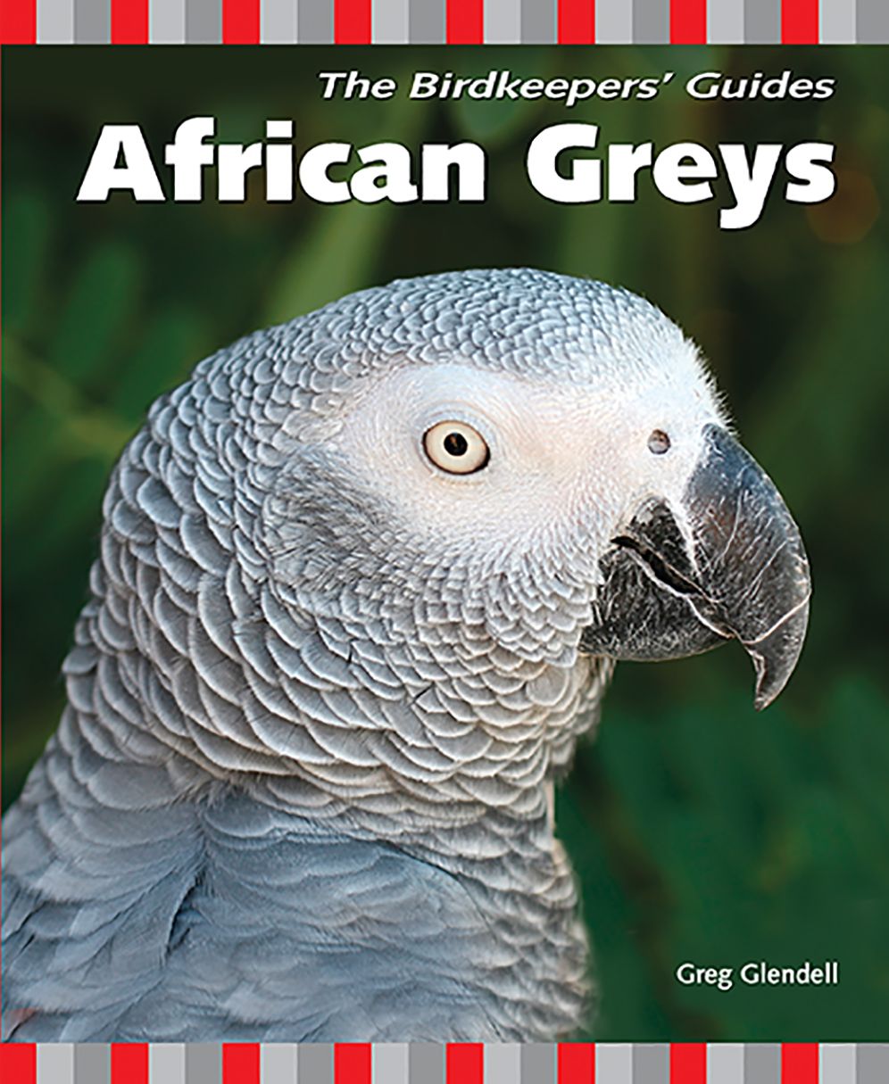 Birdkeeper's Guides: African Greys