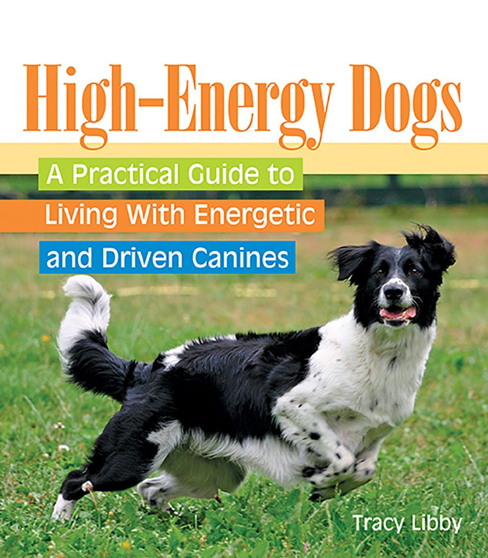 High-Energy Dogs: A Practical Guide to Living with Energetic and Driven Canines