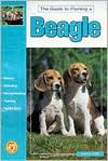 The Guide to Owning a Beagle