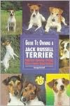 Guide to Owning a Jack Russell Terrier