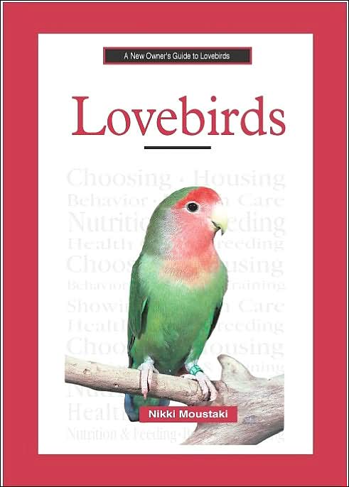 New Owner's Guide to Lovebirds