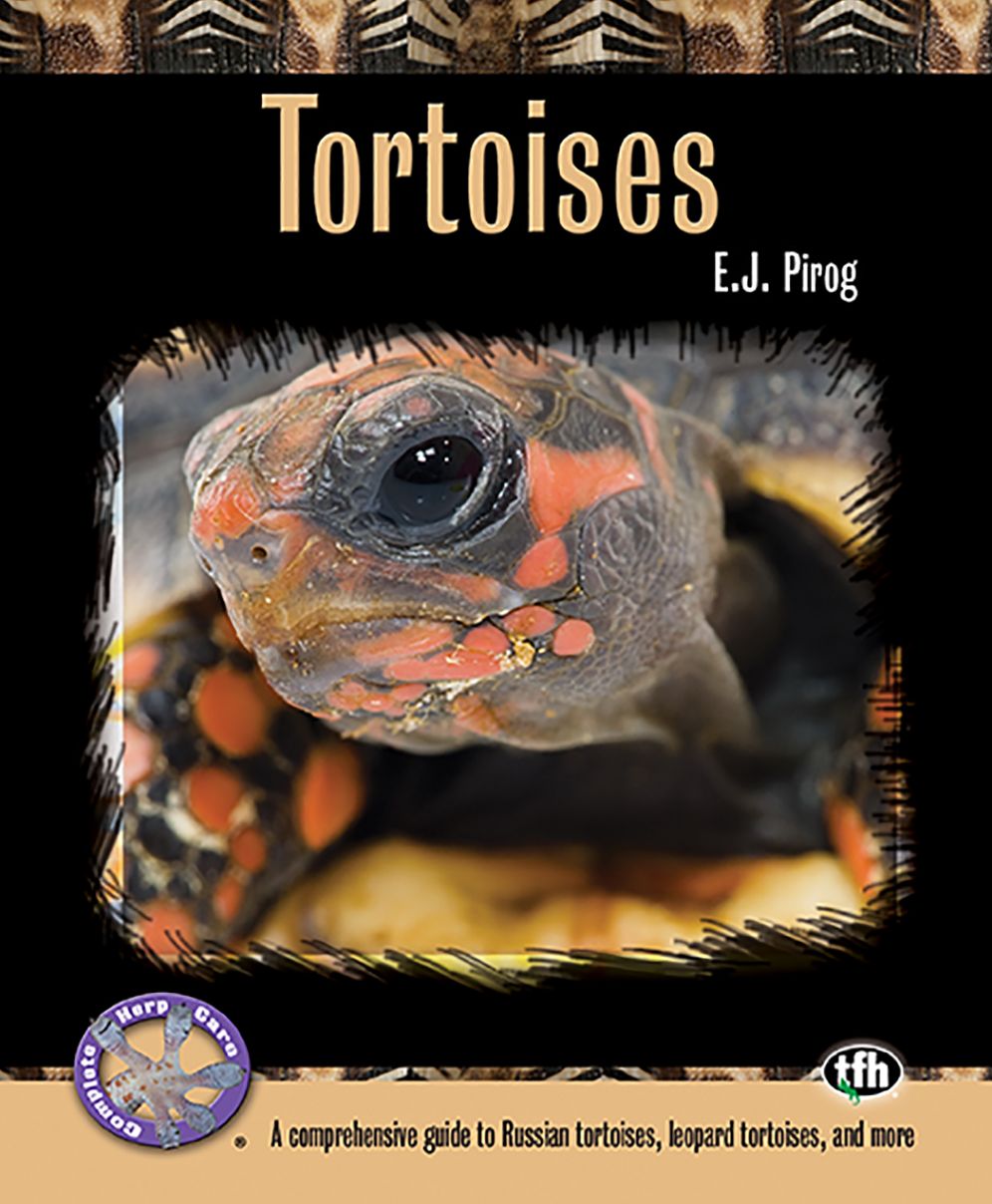 Tortoises