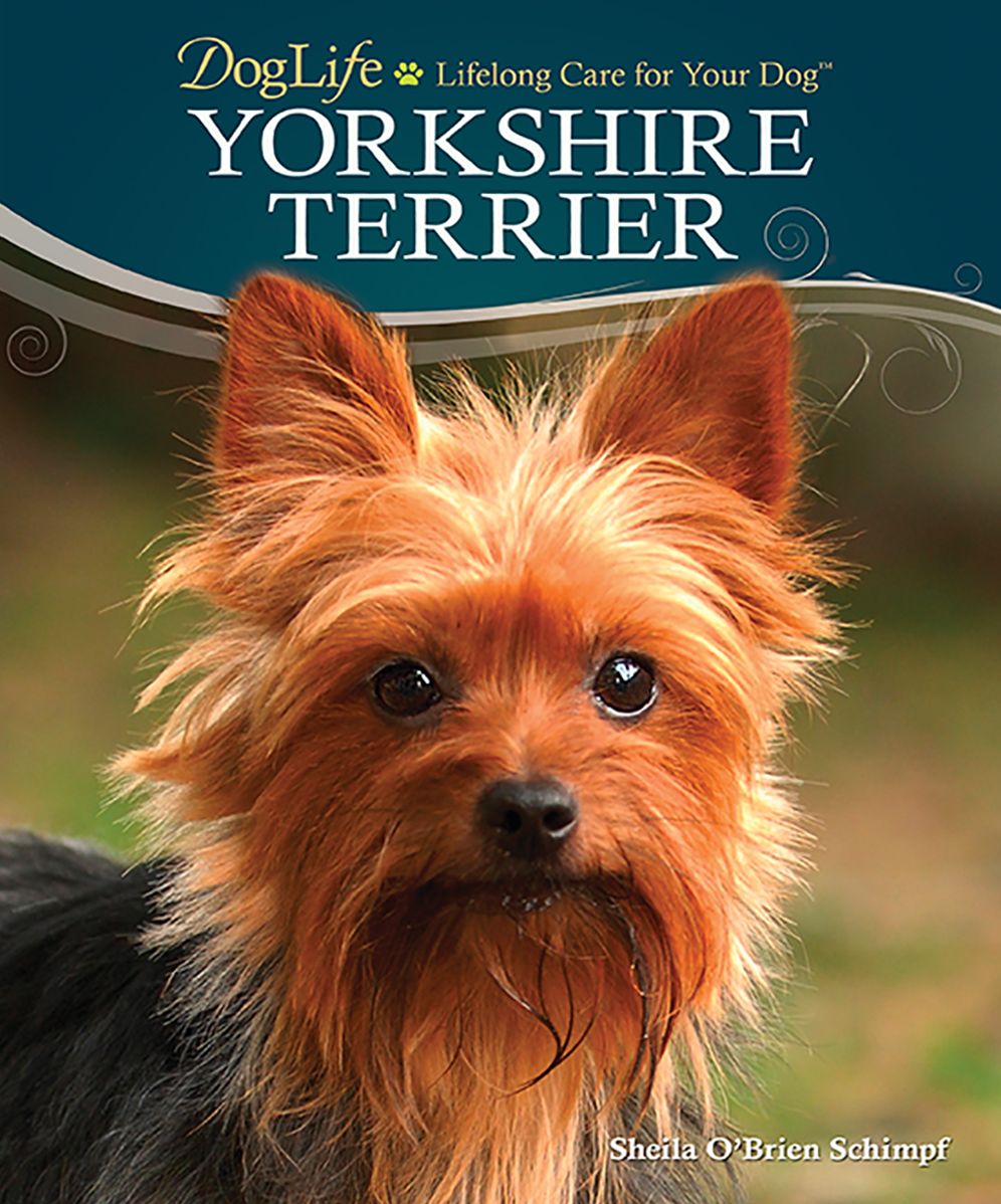 Yorkshire Terrier (DogLife Series)