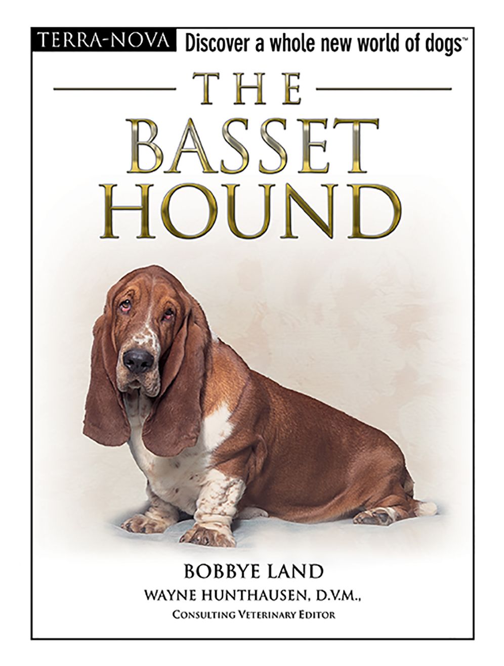 Basset Hound: Discover a Whole New World of Dogs